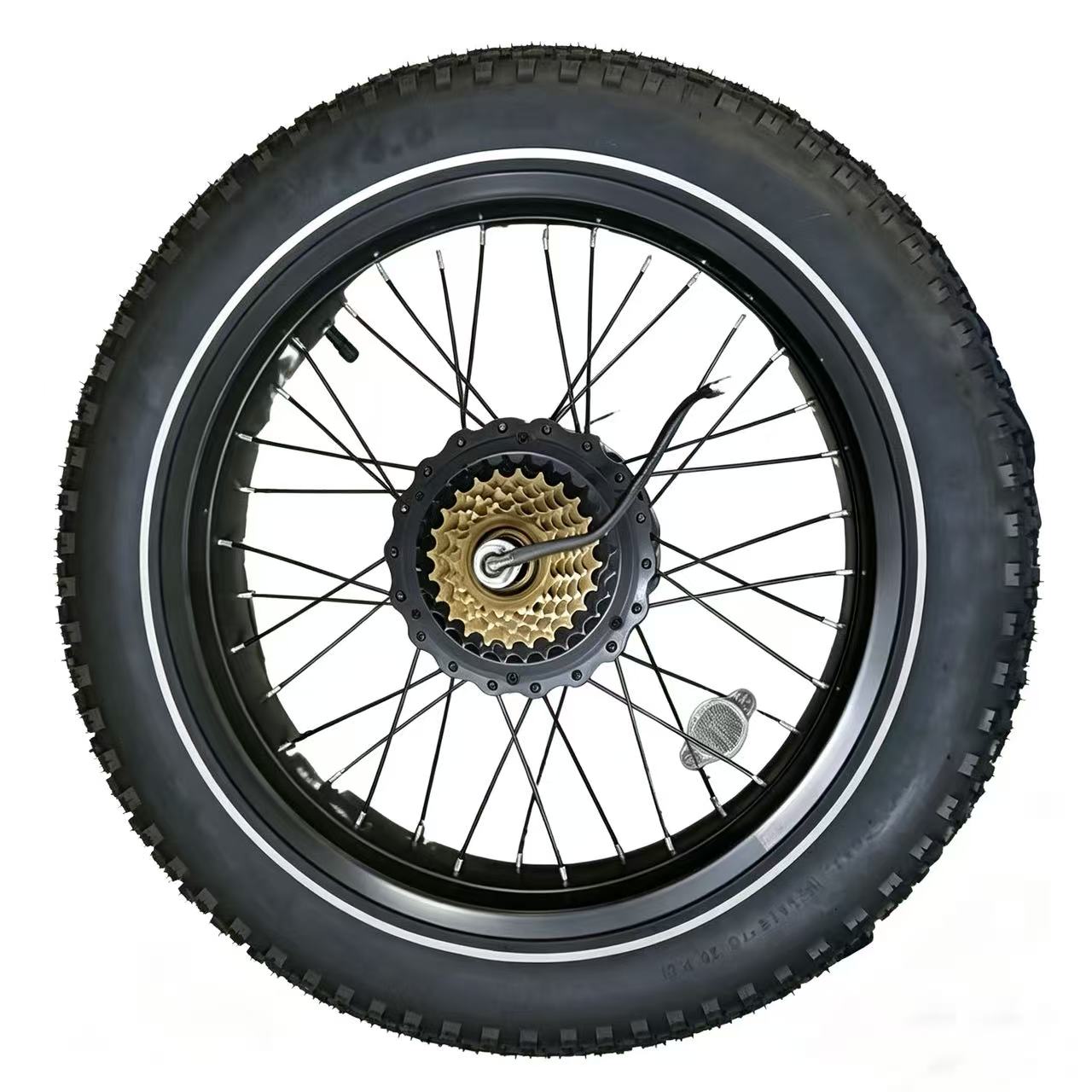 Cityfun S motor(20‑inch snow fat tire bike motor, 48V500W, 20H310R110#. M12×13G×36H×170, 232×167mm.)