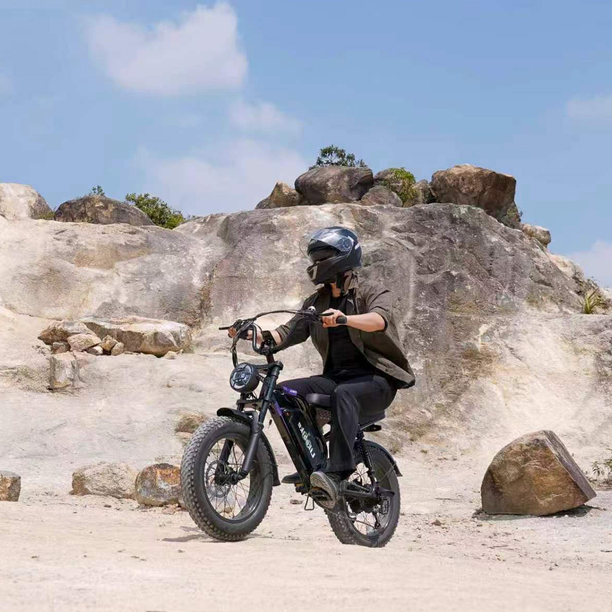 Likebike UM1(Formerly U12) Off-Road Ebike,2000W Fat Tire, UL 2849