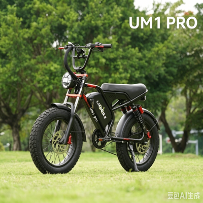 Likebike UM1(Formerly U12) Off-Road Ebike，2000W Fat Tire, UL 2849