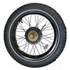 Cityfun S motor（20‑inch snow fat tire bike motor, 48V500W, 20H310R110#.  M12×13G×36H×170,  232×167mm.）