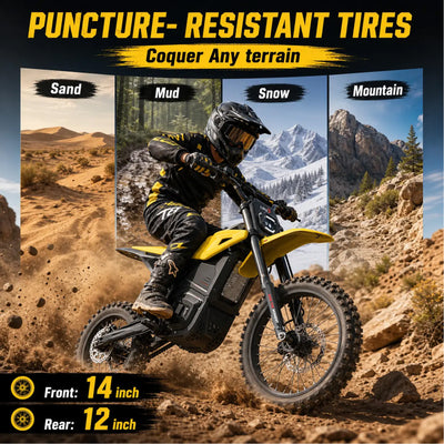 LIKEBIKE LF-01 Electric Dirt Bike